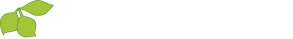 Logo Visioled